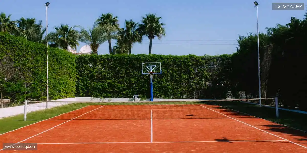 独家视角解读赛事,深度剖析战术精髓🎙️