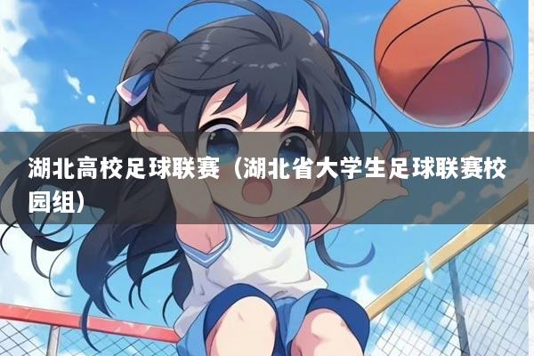 湖北高校足球联赛（湖北省大学生足球联赛校园组）