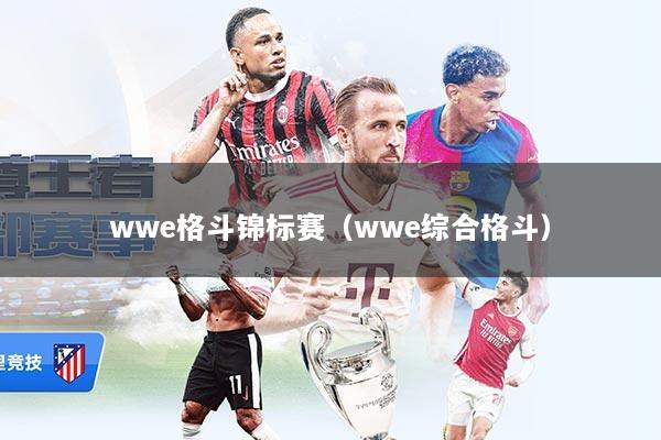 wwe格斗锦标赛（wwe综合格斗）
