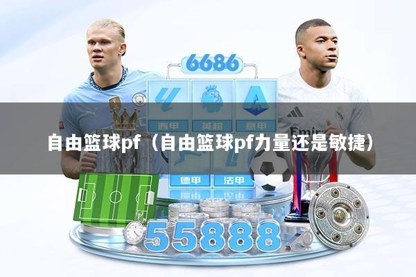 自由篮球pf（自由篮球pf力量还是敏捷）