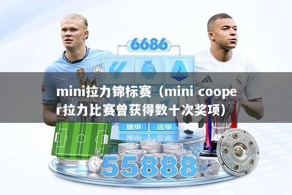mini拉力锦标赛(mini cooper拉力比赛曾获得数十次奖项)