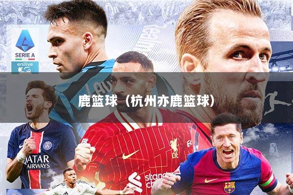 鹿篮球(杭州亦鹿篮球)