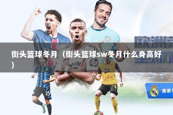 街头篮球冬月（街头篮球sw冬月什么身高好）